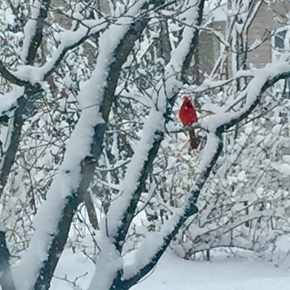 〰️Meet your Posher❤️Wendy〰️ - Picture 5 of 8